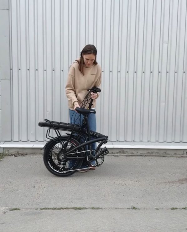 e-Onyx-dorozhnik-45431559