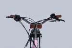 28" ST Dorozhnik eRETRO Vbr FR рама-19" 36B 12.5А*г 500Вт світло-рожевий YS 7443 2025 Електро велосипед Дорожник